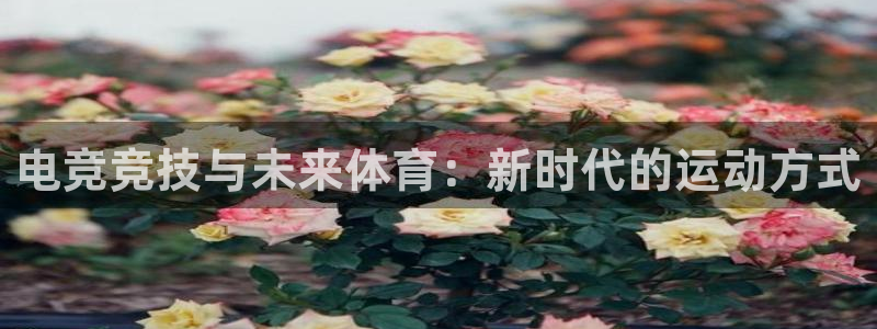 三亿体育网页版：电竞竞技与未来体育：新时代的运动方式