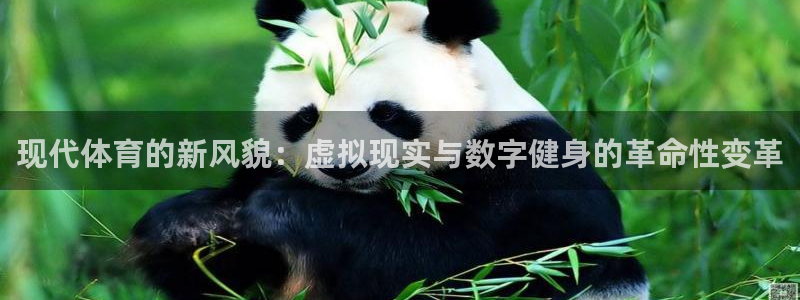 三亿体育：现代体育的新风貌：虚拟现实与数字健身的革命性变革