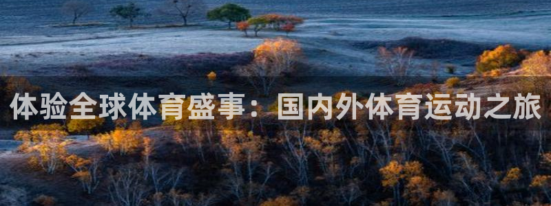 三亿体育网页版：体验全球体育盛事：国内外体育运动之旅