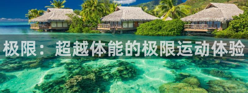 三亿体育网页版：极限：超越体能的极限运动体验