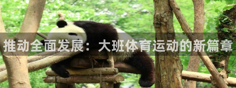 三亿体育登录：推动全面发展：大班体育运动的新篇章