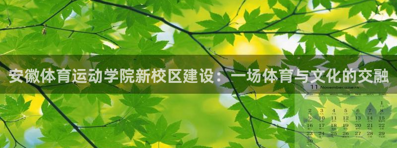 三亿体育：安徽体育运动学院新校区建设：一场体育与文化的交融