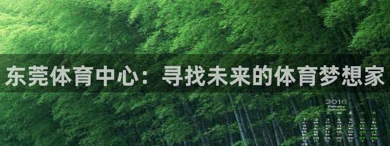 三亿体育：东莞体育中心：寻找未来的体育梦想家